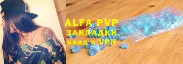 индика Беломорск