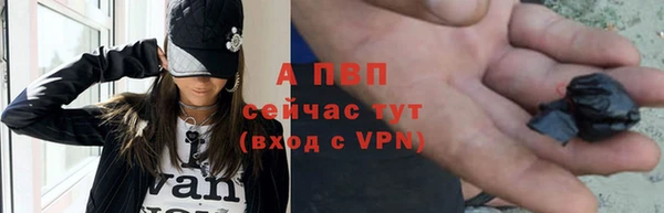 индика Беломорск